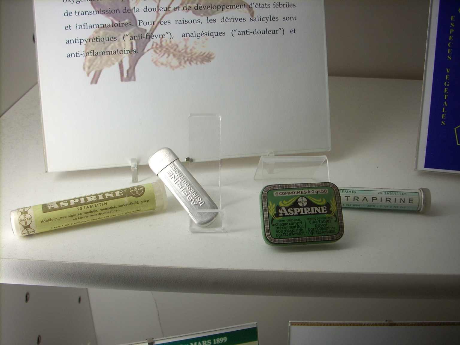 Musée des plantes médicinales et de la Pharmacie, ULB, Brussels - 02.JPG
